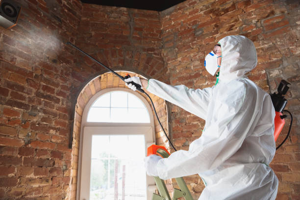 Asbestos and Lead Testing During Mold Inspection in West Deland, FL